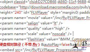 FlV视频代码使用说明